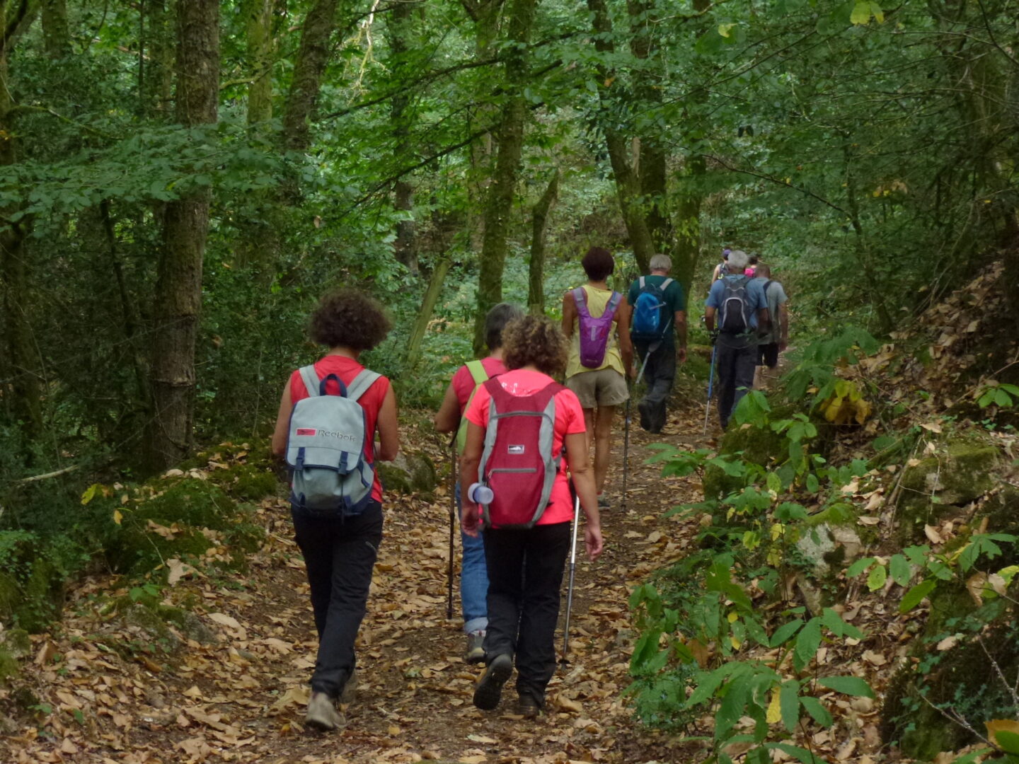Liaison Razès-Moulin de Chabannes Razès Nouvelle-Aquitaine Liaison Razès-Moulin de Chabannes Razès Nouvelle-Aquitaine