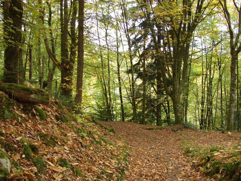 Sentier des carrières Saint-Jouvent Nouvelle-Aquitaine