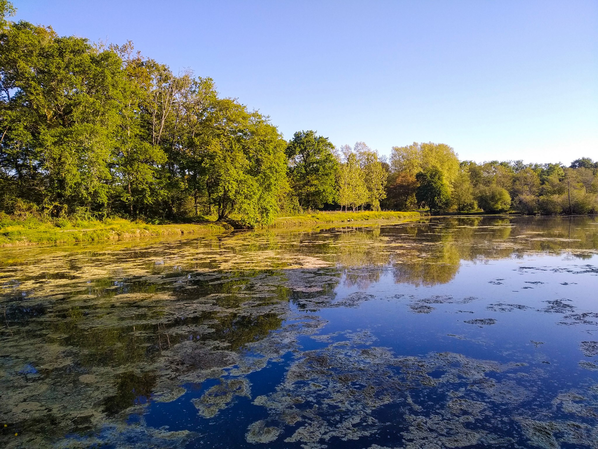 Etangs de la Gravière Dax Nouvelle-Aquitaine