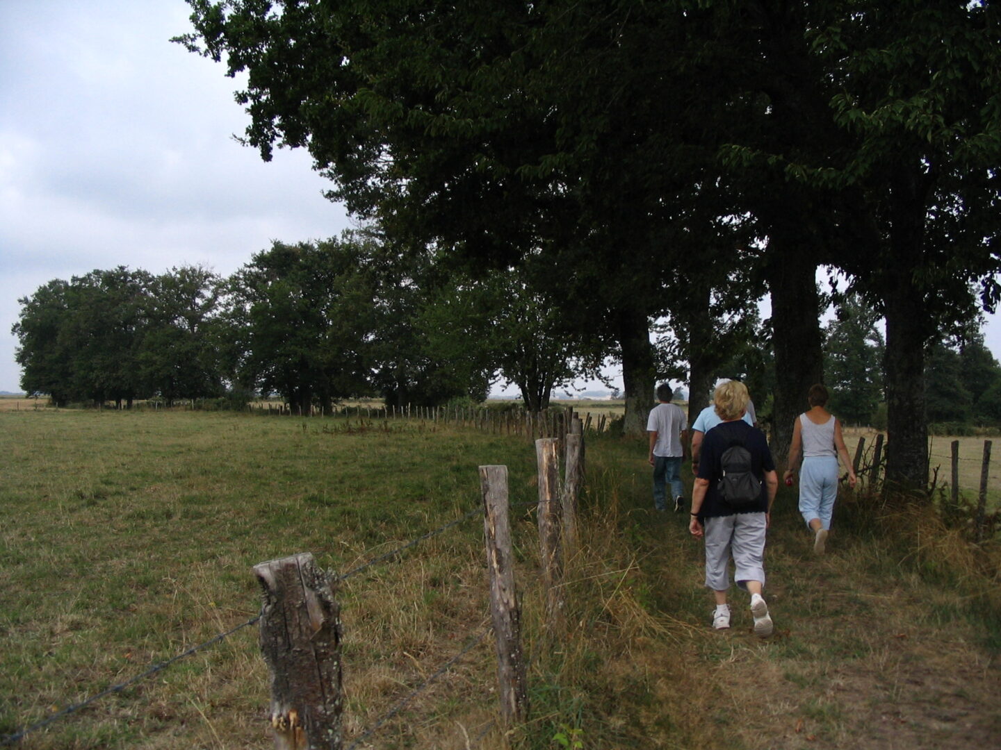 Liaison Flavignac Les Cars Flavignac Nouvelle-Aquitaine
