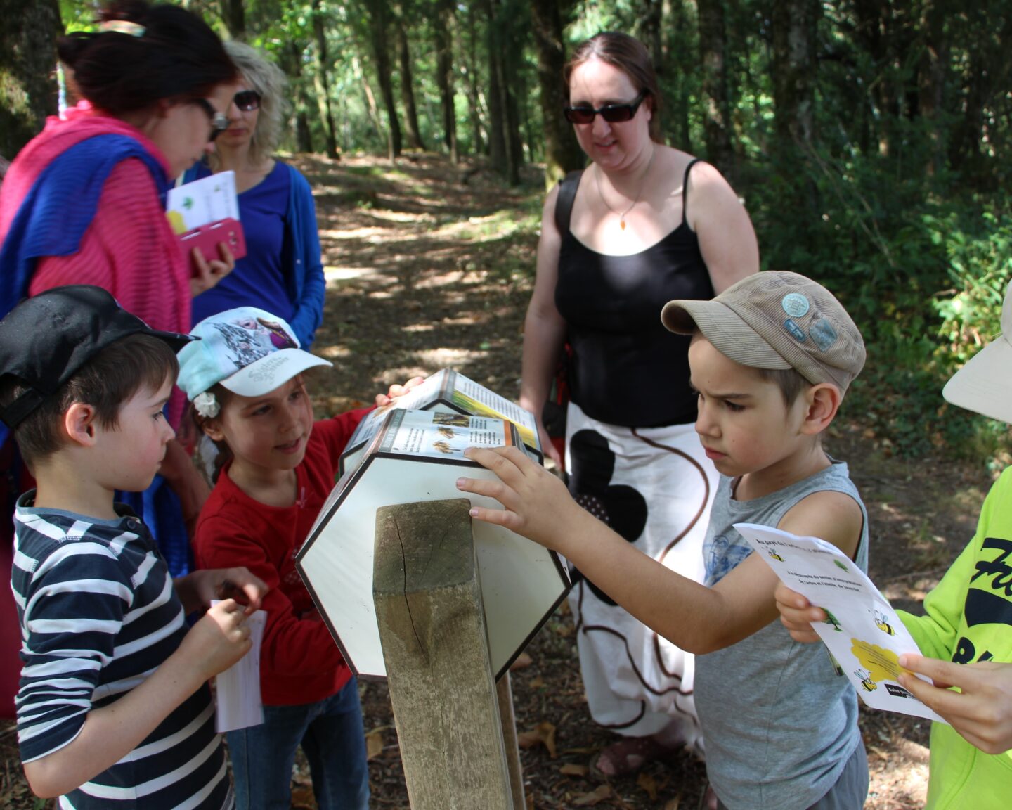 Le sentier de l’arbre et de l’abeille Javerdat Nouvelle-Aquitaine Le sentier de l'arbre et de l'abeille Javerdat Nouvelle-Aquitaine
