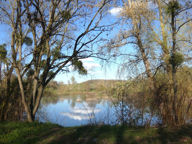 19- Boucle de la Coquillonnerie Farges-Allichamps Centre-Val de Loire