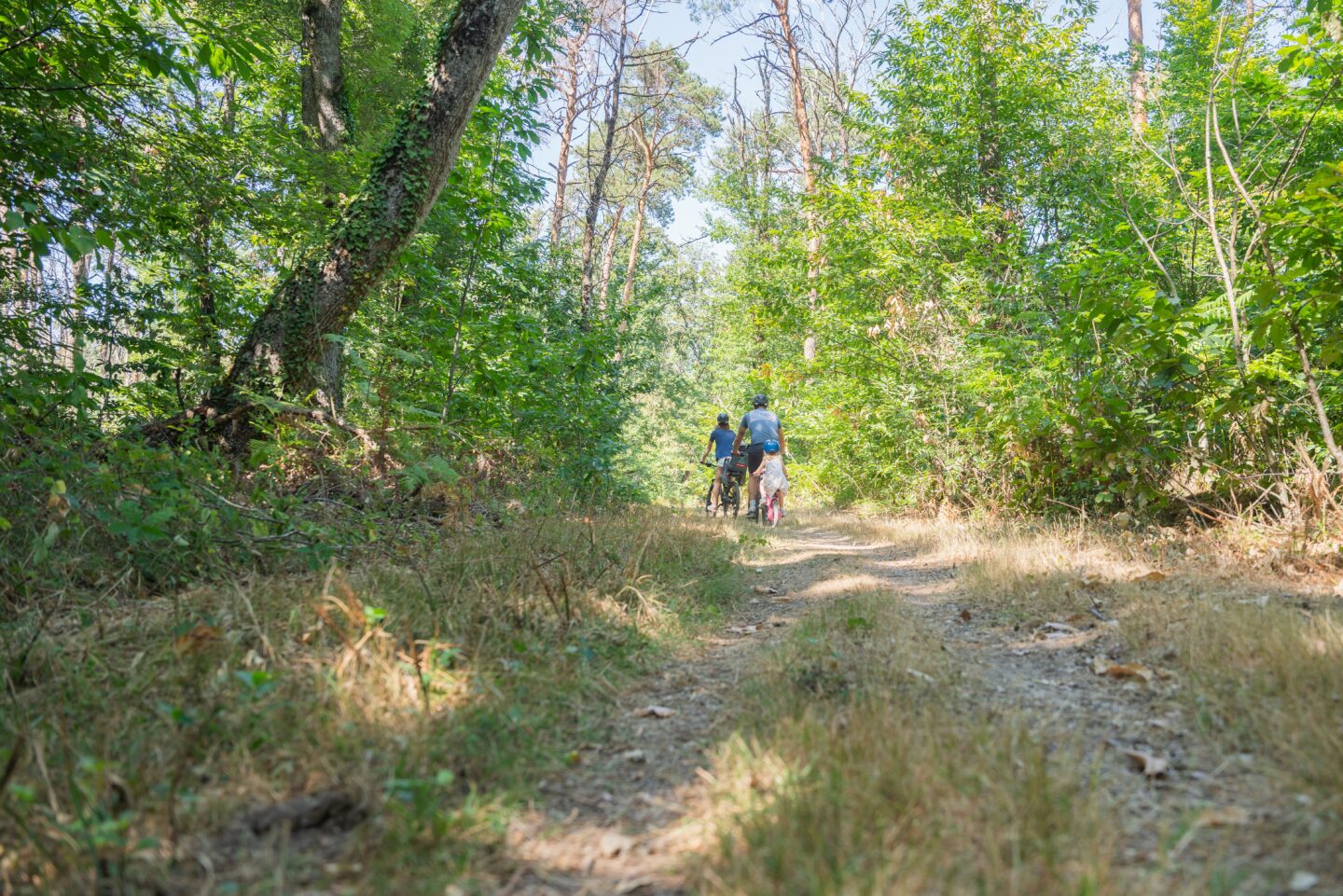 Sur les pas d'André Theuriet Savigné Nouvelle-Aquitaine