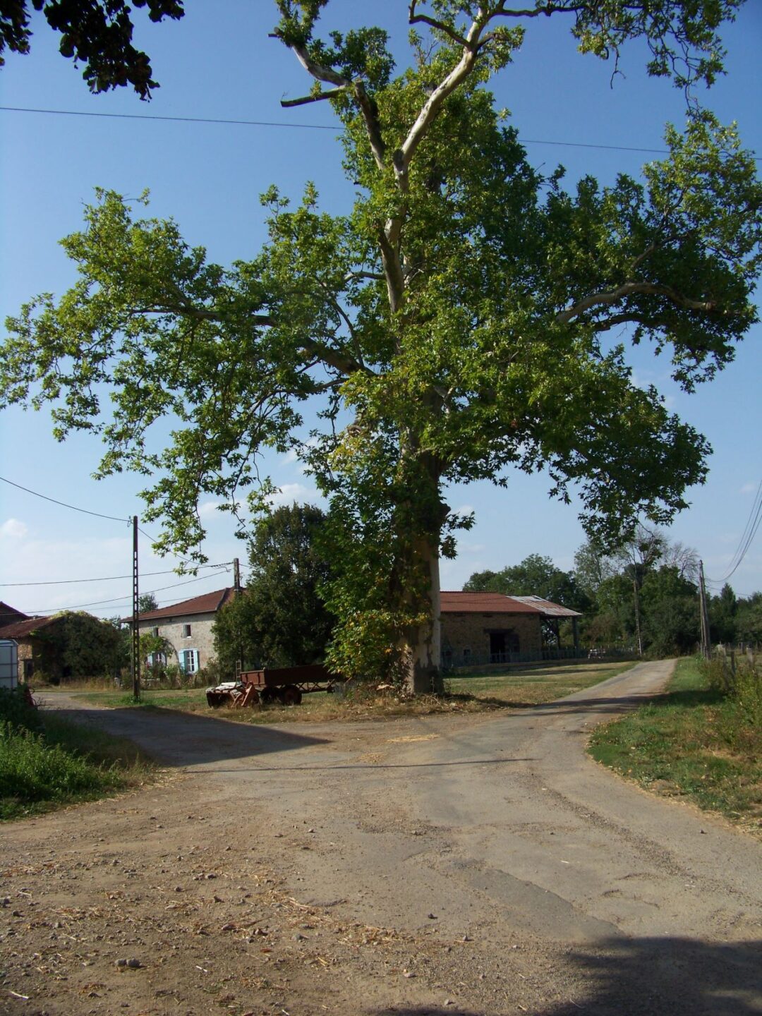 Circuit Les hauts de Beynac Beynac Nouvelle-Aquitaine