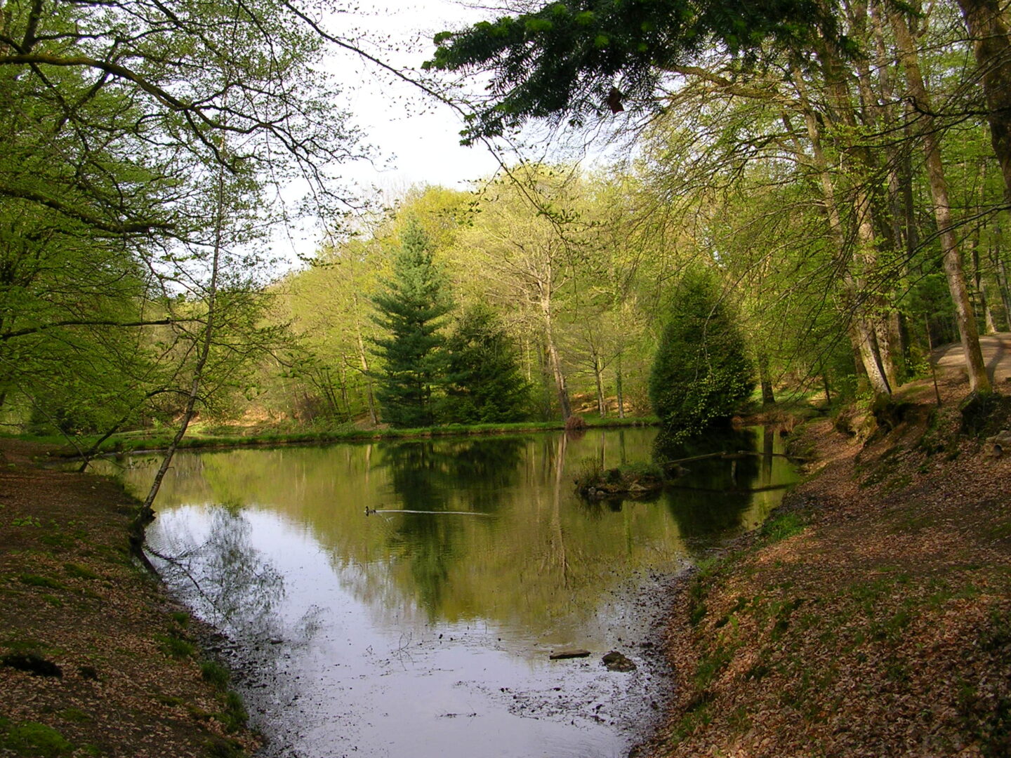 Sentier des étangs Saint-Priest-sous-Aixe Nouvelle-Aquitaine