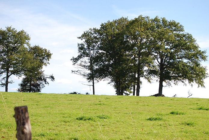 La Boucle VTT d’Aixe-sur-Vienne Circuit n°2 Val du Val de Vienne Tour Aixe-sur-Vienne Nouvelle-Aquitaine La Boucle VTT d'Aixe-sur-Vienne Circuit n°2 Val du Val de Vienne Tour Aixe-sur-Vienne Nouvelle-Aquitaine