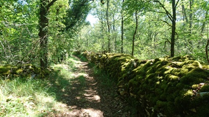 Boucle longue du Donjon Les Coteaux Périgourdins Nouvelle-Aquitaine