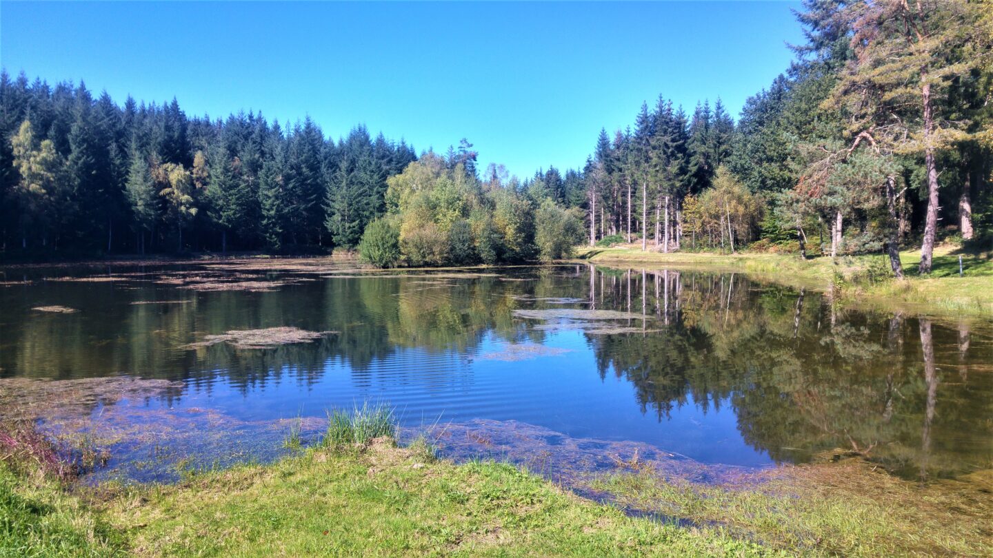 VTT Gravel A travers champs et forêts 28 km circuit 61 Aix Nouvelle-Aquitaine