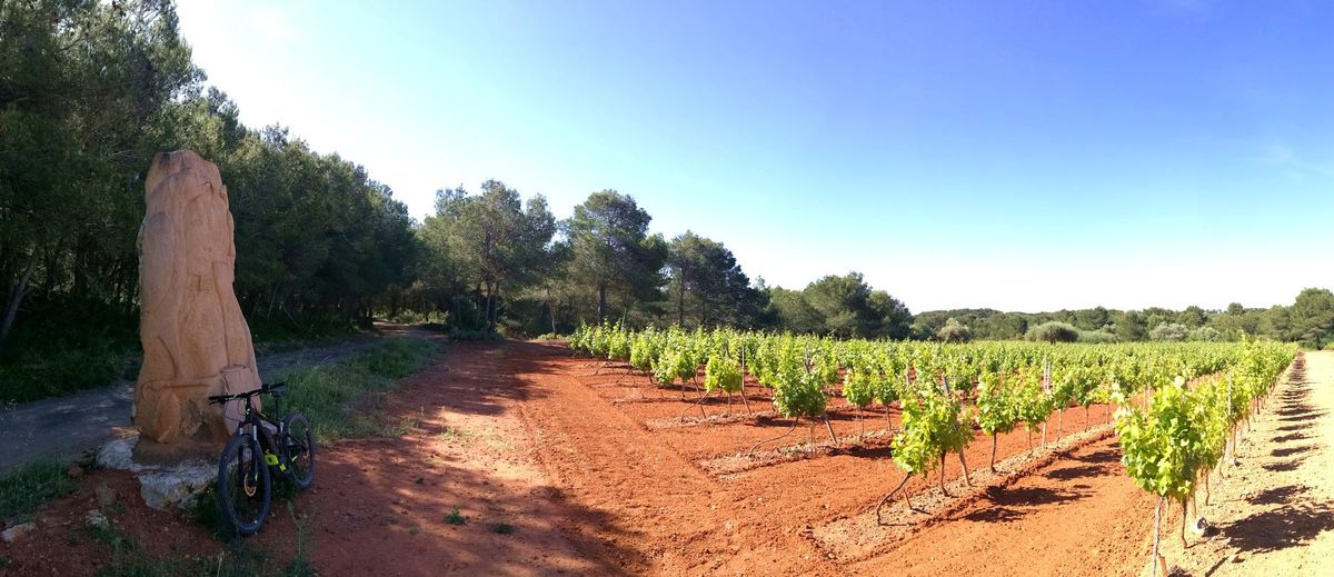 DU LARZAC A LA MEDITERRANEE A VTT SUR LA GTMC MONTAGNAC CAP D’AGDE Montagnac Occitanie