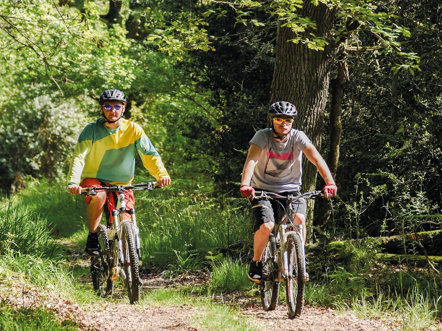 Morlanne les tournées du Soubestre à VTT (grande boucle) Morlanne Nouvelle-Aquitaine