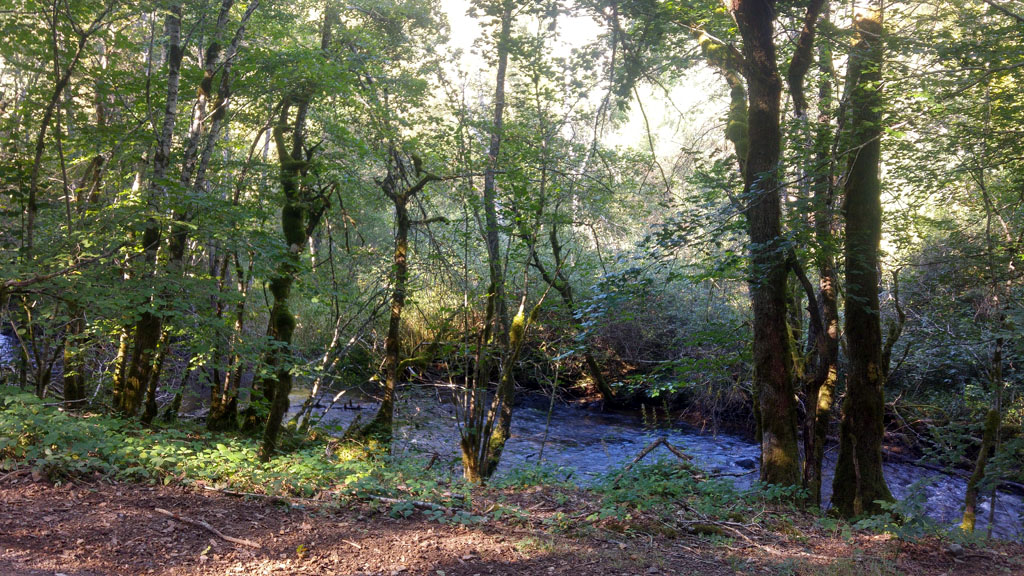 Sur les traces des chevaliers de l'Ordre de Malte (variante de 3 km) Thalamy Nouvelle-Aquitaine