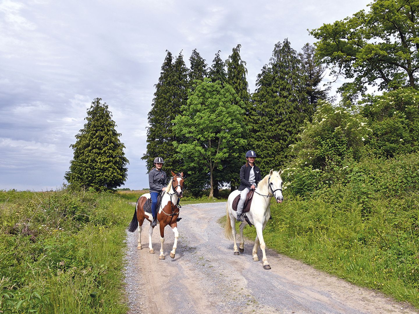 Ouillon chemin des bergers à cheval Ouillon Nouvelle-Aquitaine