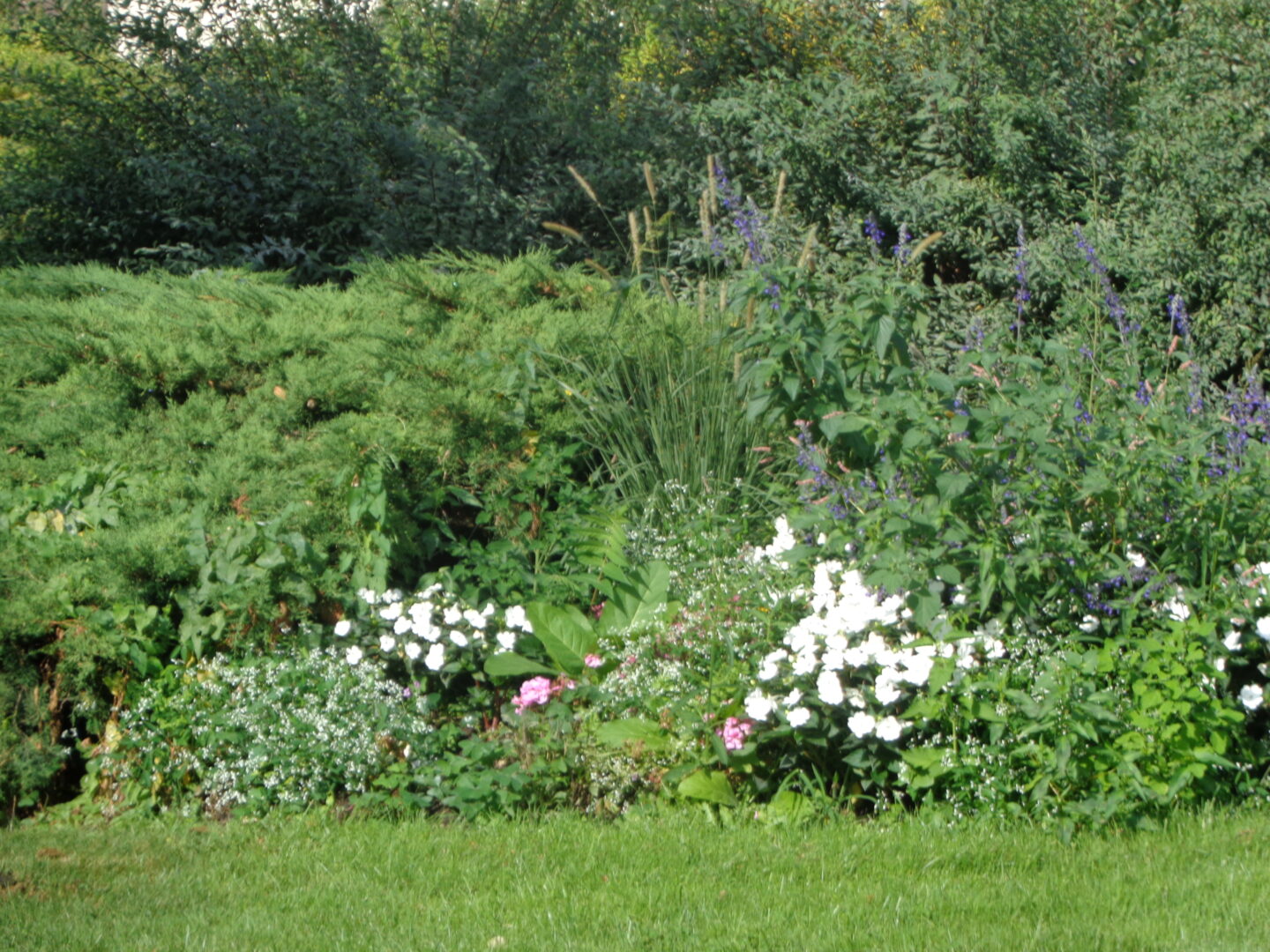 Balade à roulettes Parc Castel Floirac Nouvelle-Aquitaine