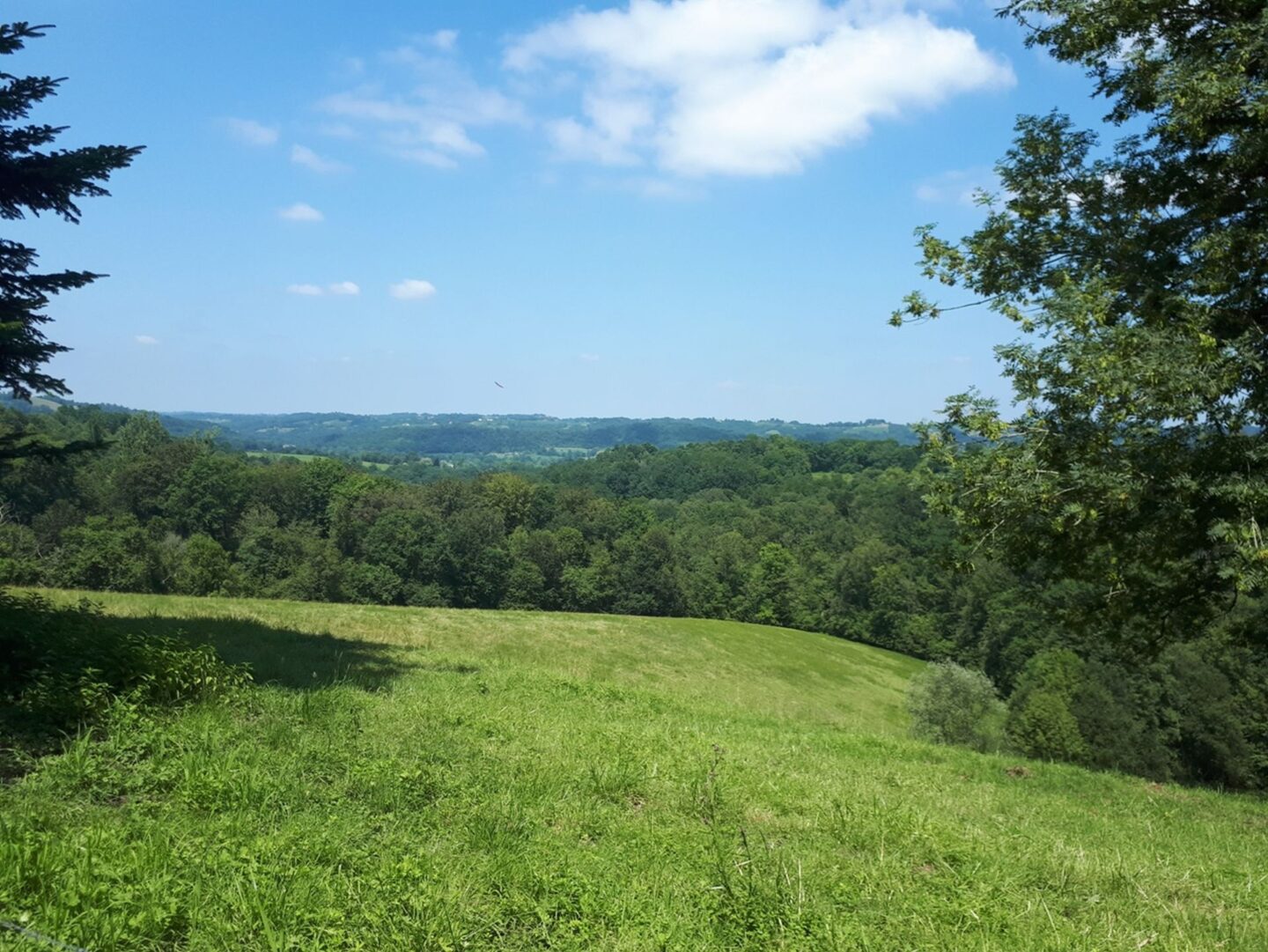 N°87 Coteaux de la Bastarde Lasseube Nouvelle-Aquitaine