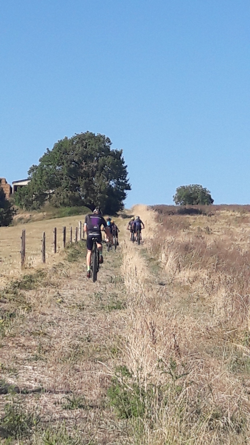 Boucle des défis N°20 VTT Montagrier Nouvelle-Aquitaine
