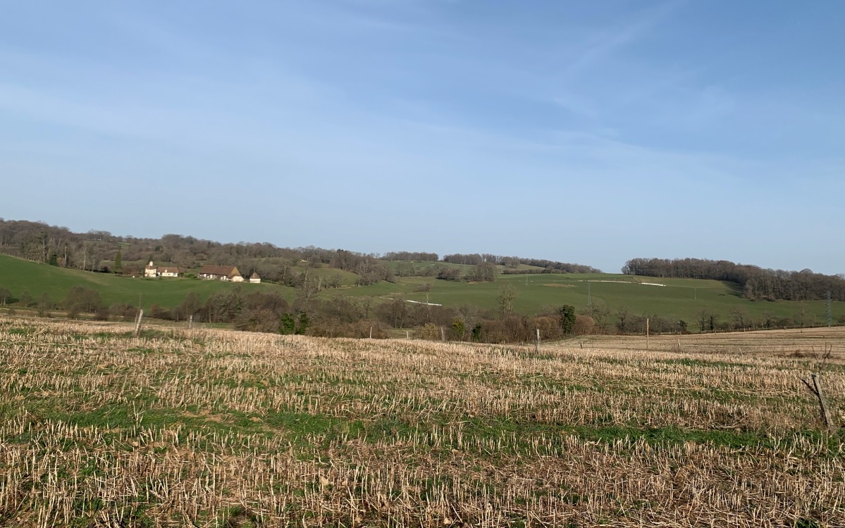 Boucle cyclotouristique La forêt de Meuzac Magnac-Bourg Nouvelle-Aquitaine