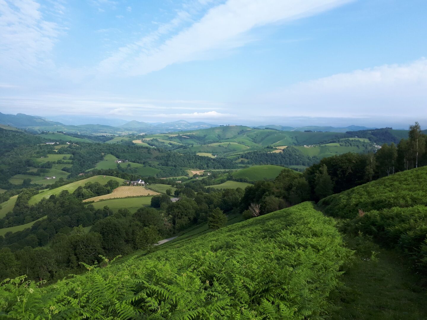 N°91 Tumulus de la Serre Issor Nouvelle-Aquitaine