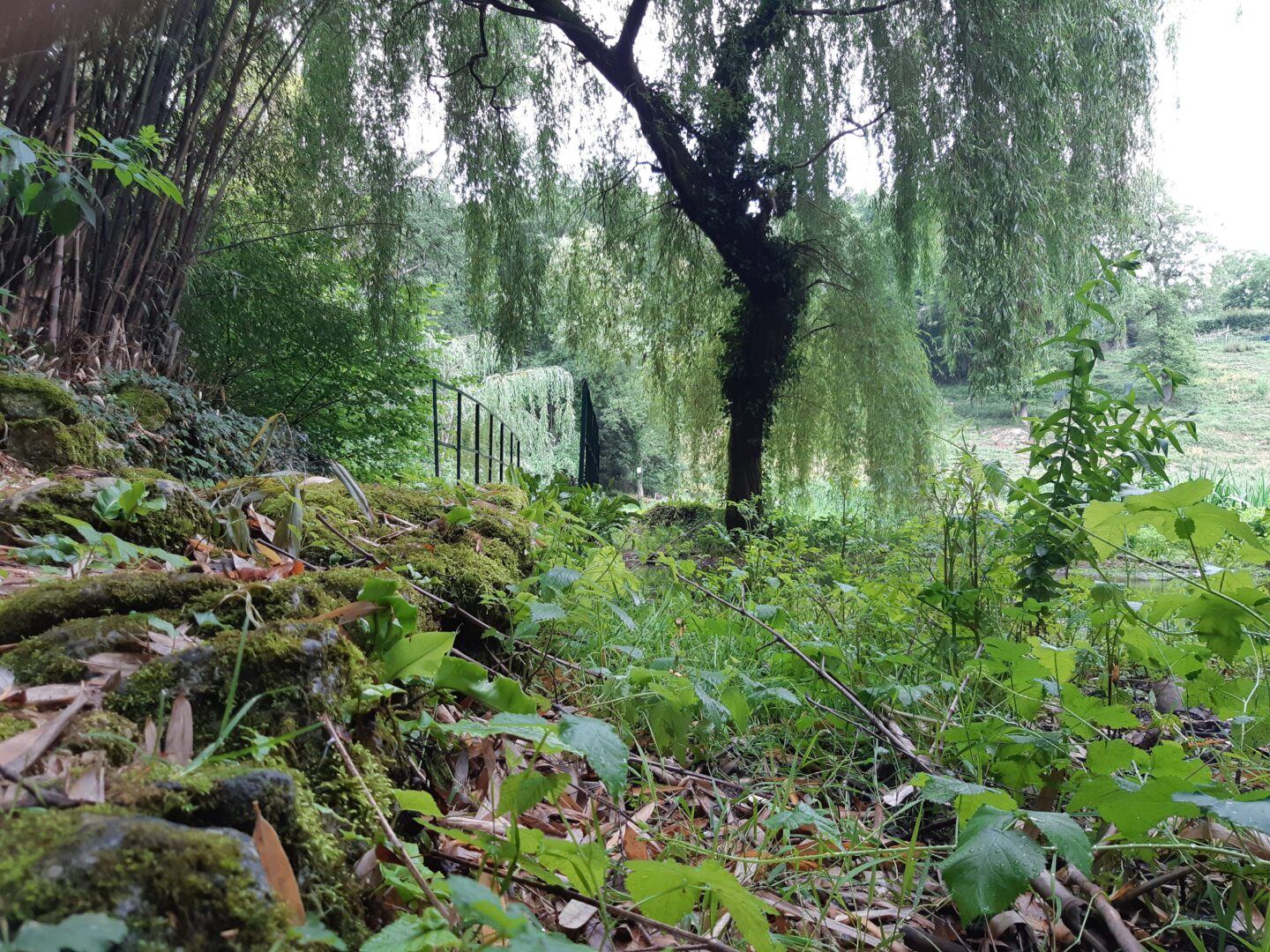 Sur les pas du chasseron Saint-Génard Marcillé Nouvelle-Aquitaine