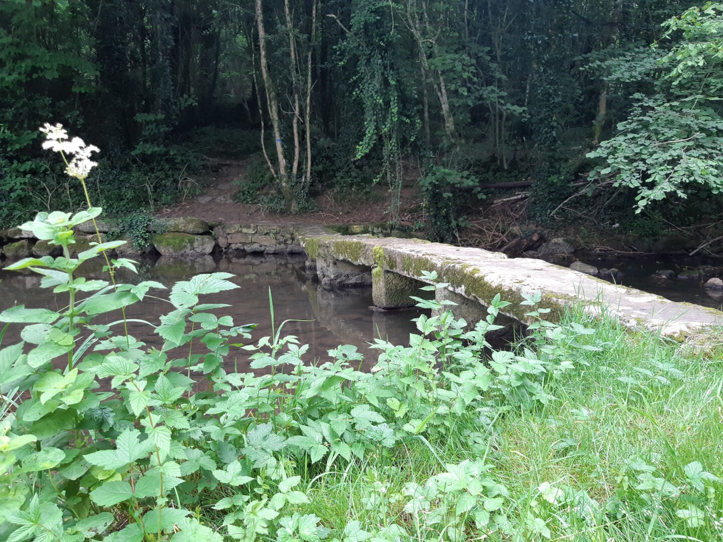 La balade de Mougnon Saint-Romans-lès-Melle Saint-Romans-lès-Melle Nouvelle-Aquitaine