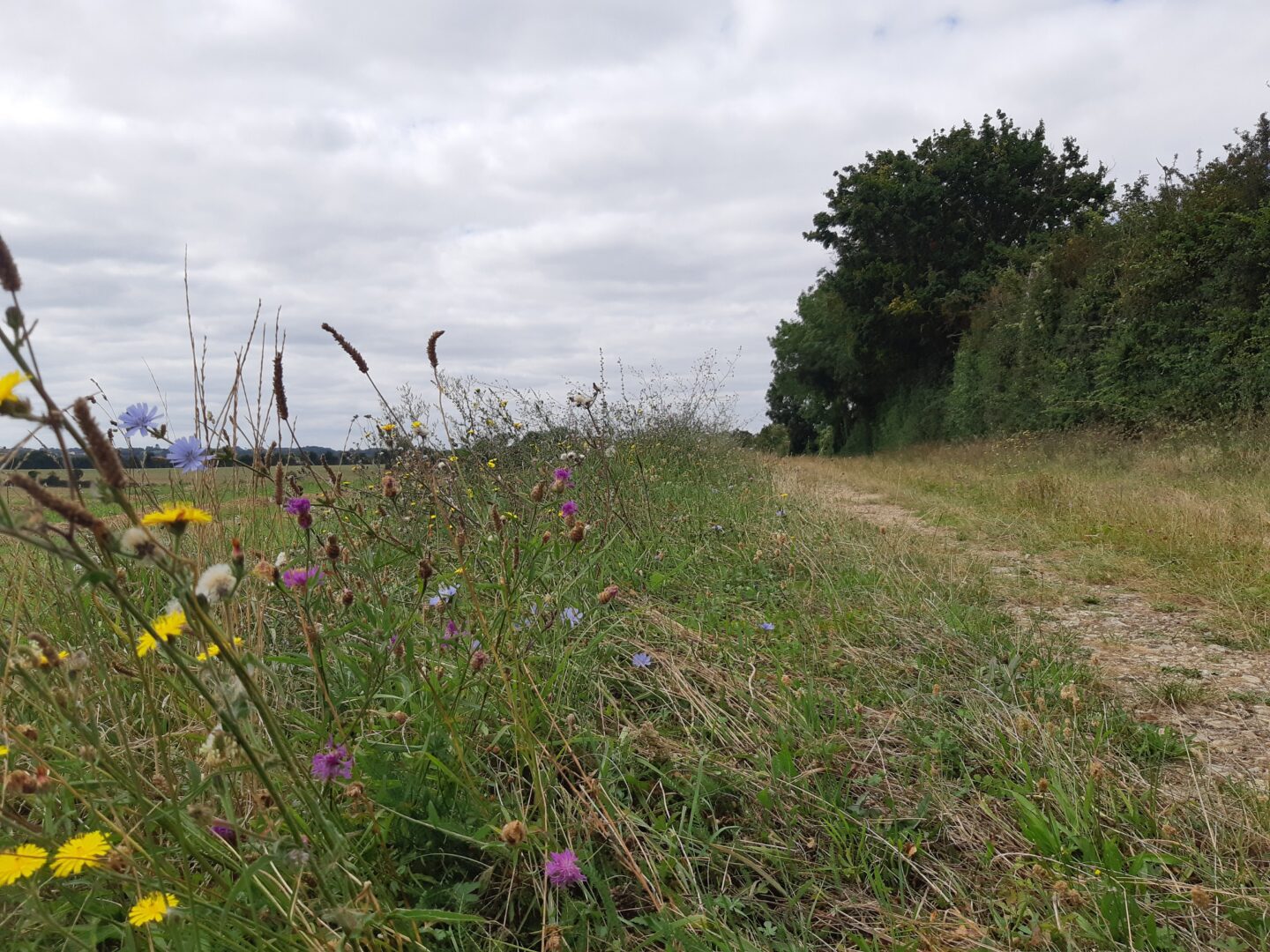 Découverte de notre patrimoine Chenay Chenay Nouvelle-Aquitaine