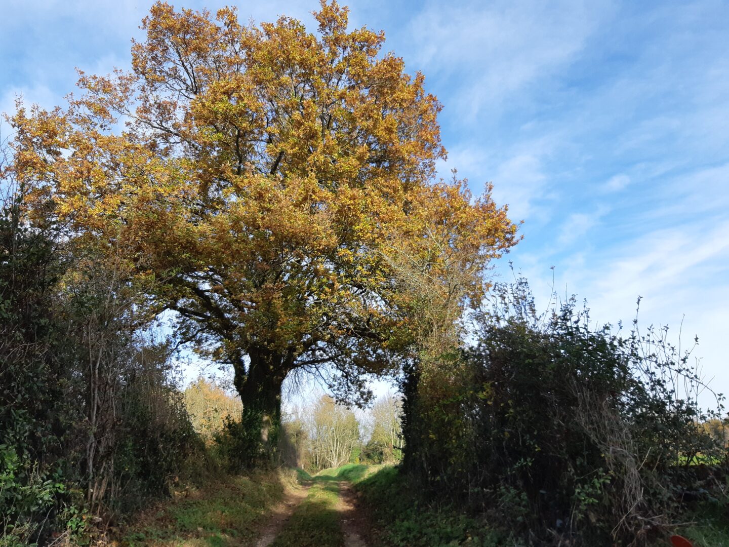Circuit des Dragonnades Prailles Prailles-La Couarde Nouvelle-Aquitaine