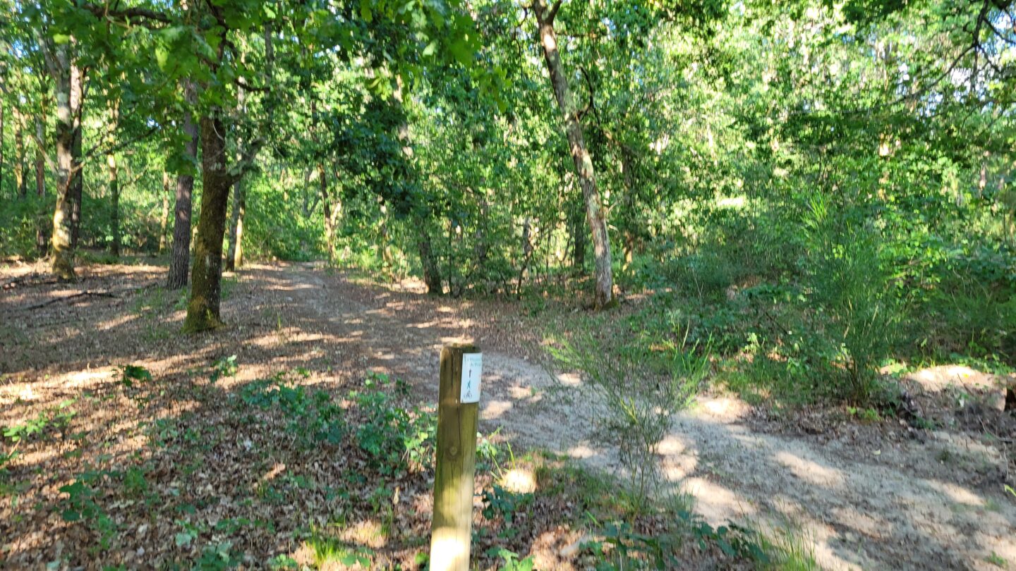Le Poumon Vert Le Porge Nouvelle-Aquitaine