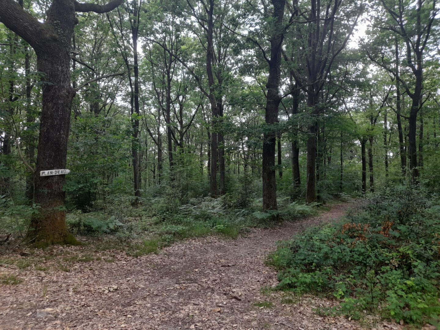 Circuit du plan d'eau Lamongerie Nouvelle-Aquitaine
