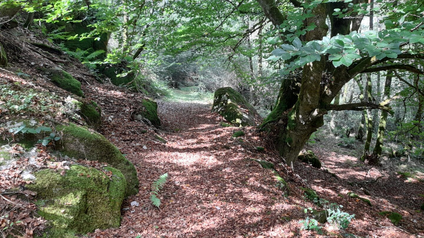 Sentier d’interprétation des pierres fades Saint-Marc-à-Loubaud Nouvelle-Aquitaine Sentier d'interprétation des pierres fades Saint-Marc-à-Loubaud Nouvelle-Aquitaine