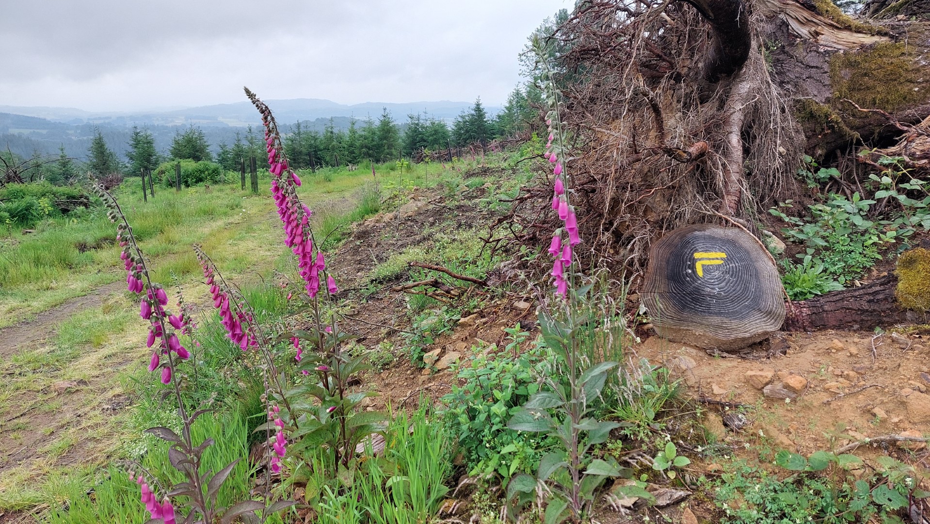 Circuit pédrestre N°70 Le Mont La Chaize Thauron Nouvelle-Aquitaine