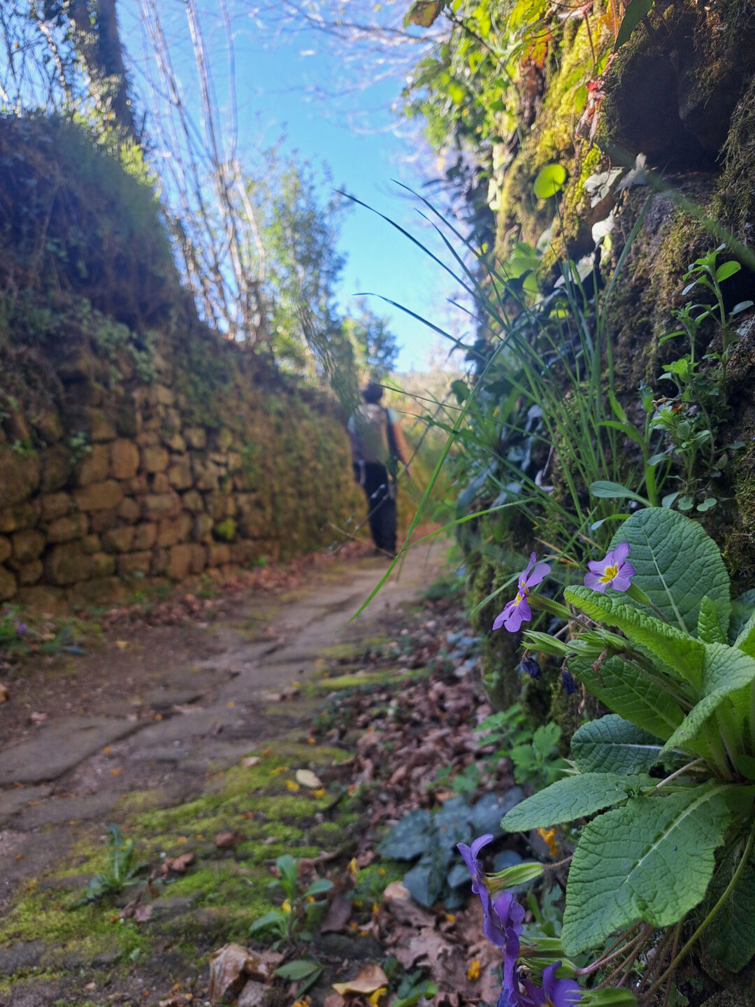 GRP® des Monédières Treignac Nouvelle-Aquitaine
