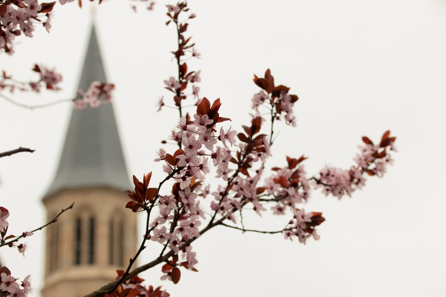 C8 circuit cyclo autour de Saint-Sulpice-les-Feuilles et Arnac-la-Poste Saint-Sulpice-les-Feuilles Nouvelle-Aquitaine C8 circuit cyclo autour de Saint-Sulpice-les-Feuilles et Arnac-la-Poste Saint-Sulpice-les-Feuilles Nouvelle-Aquitaine