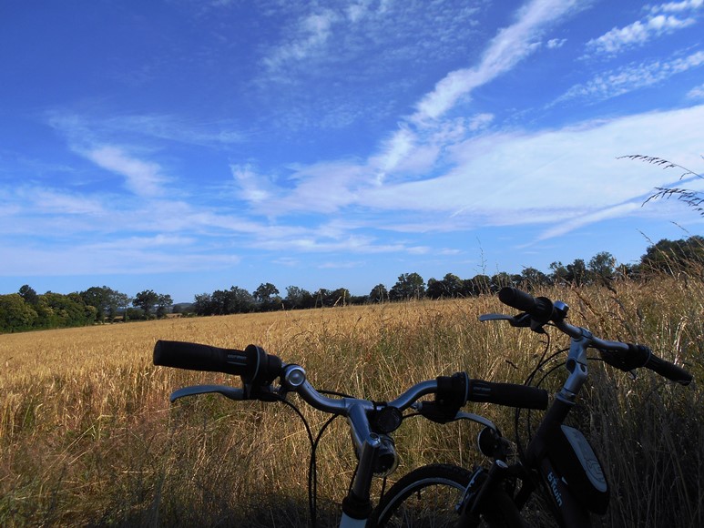 C20 circuit cyclo en famille autour de Saint-Sulpice-les-Feuilles et du Lac de Mondon Saint-Sulpice-les-Feuilles Nouvelle-Aquitaine C20 circuit cyclo en famille autour de Saint-Sulpice-les-Feuilles et du Lac de Mondon Saint-Sulpice-les-Feuilles Nouvelle-Aquitaine