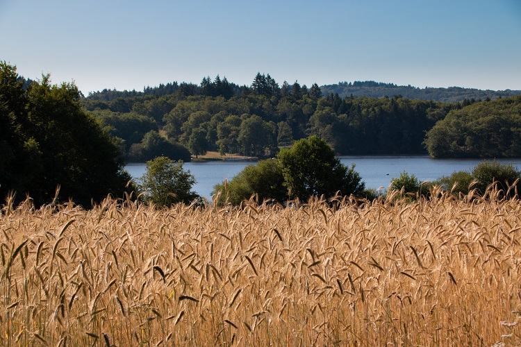 Circuit cyclo André Dufraisse Saint-Pardoux-le-Lac Nouvelle-Aquitaine Circuit cyclo André Dufraisse Saint-Pardoux-le-Lac Nouvelle-Aquitaine