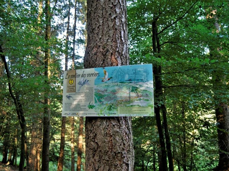 Le sentier des verriers Wingen-sur-Moder Grand Est Le sentier des verriers Wingen-sur-Moder Grand Est