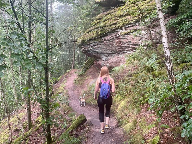 Sentier des 3 rochers La Petite-Pierre Grand Est