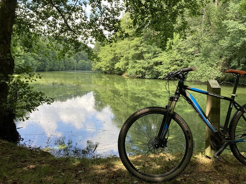 Boucle de l’étang du Donnenbach La Petite-Pierre Grand Est