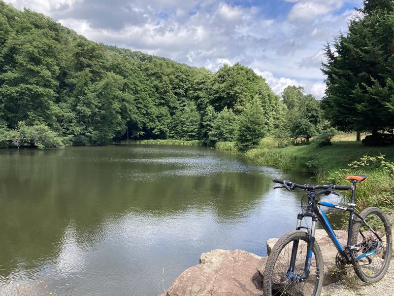 Boucle d’Imsthal La Petite-Pierre Grand Est