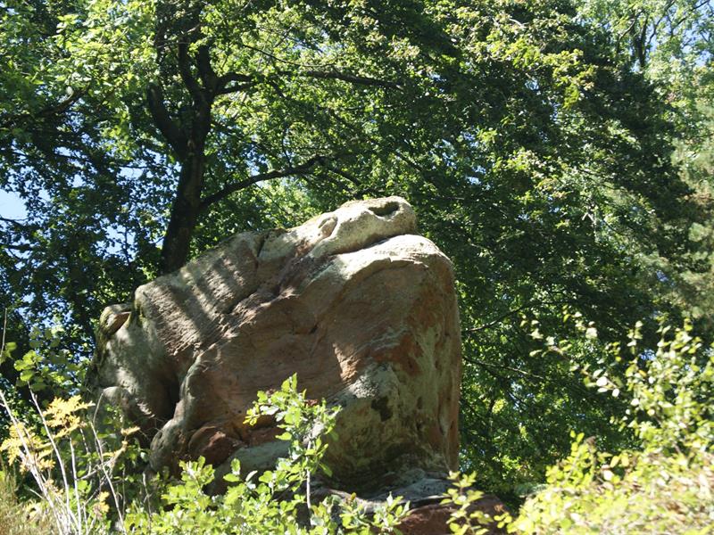 Circuit du Froschkopf La Petite-Pierre Grand Est