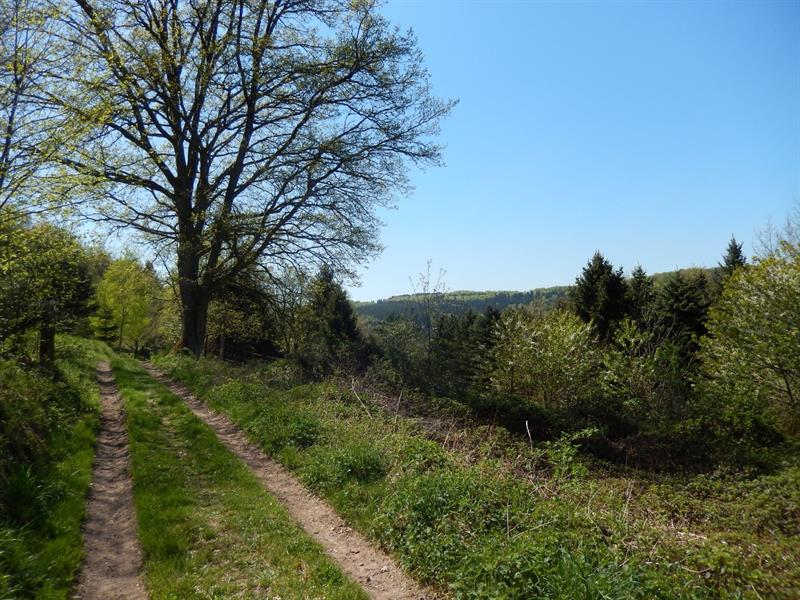 Circuit de Zittersheim Zittersheim Grand Est Circuit de Zittersheim Zittersheim Grand Est