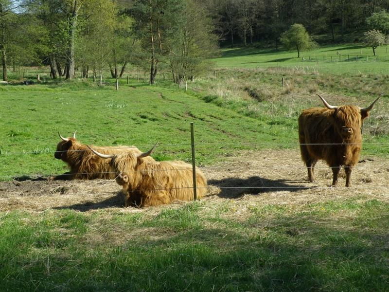 Circuit des pierres Wingen-sur-Moder Grand Est Circuit des pierres Wingen-sur-Moder Grand Est