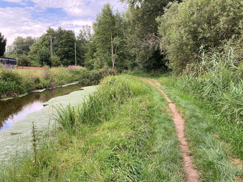 Sentier de la Moder Ingwiller Grand Est