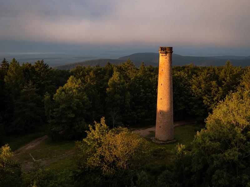 Circuit de randonnée: vers le Grand Wintersberg Niederbronn-les-Bains Grand Est