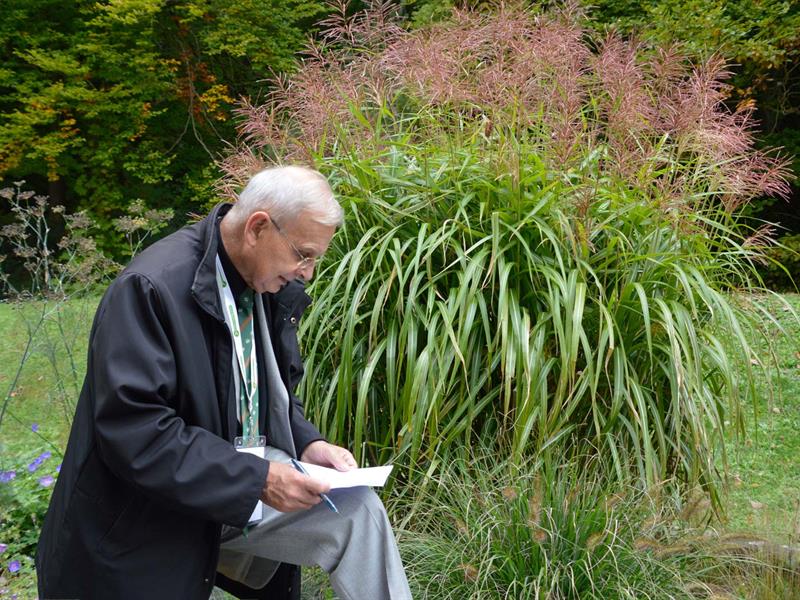 Sentier faune et flore vers le château de la Wasenbourg Niederbronn-les-Bains Grand Est