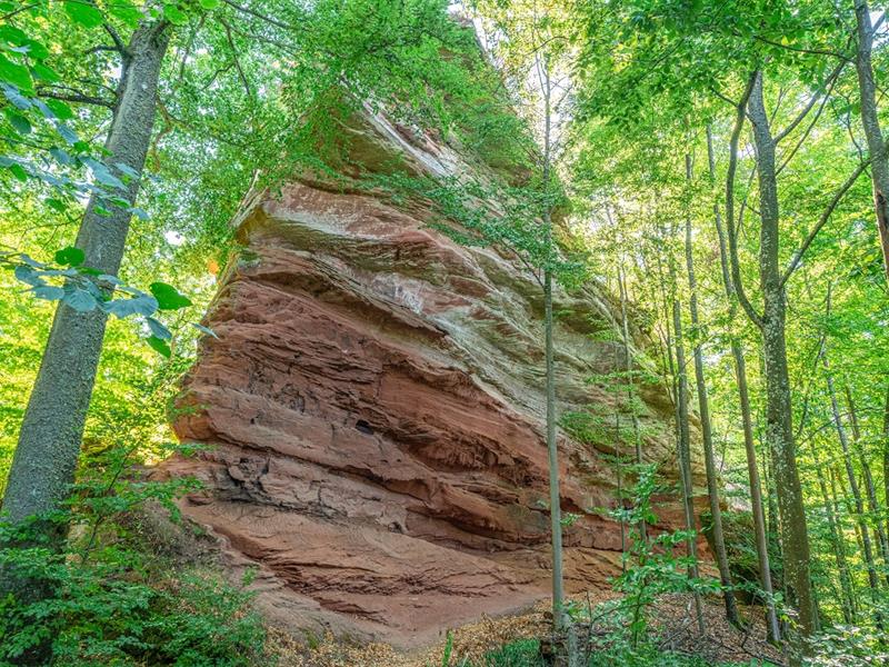 Circuit de randonnée Les hauteurs de Dambach par le Hohenfels et le Grand Wintersberg Dambach Grand Est