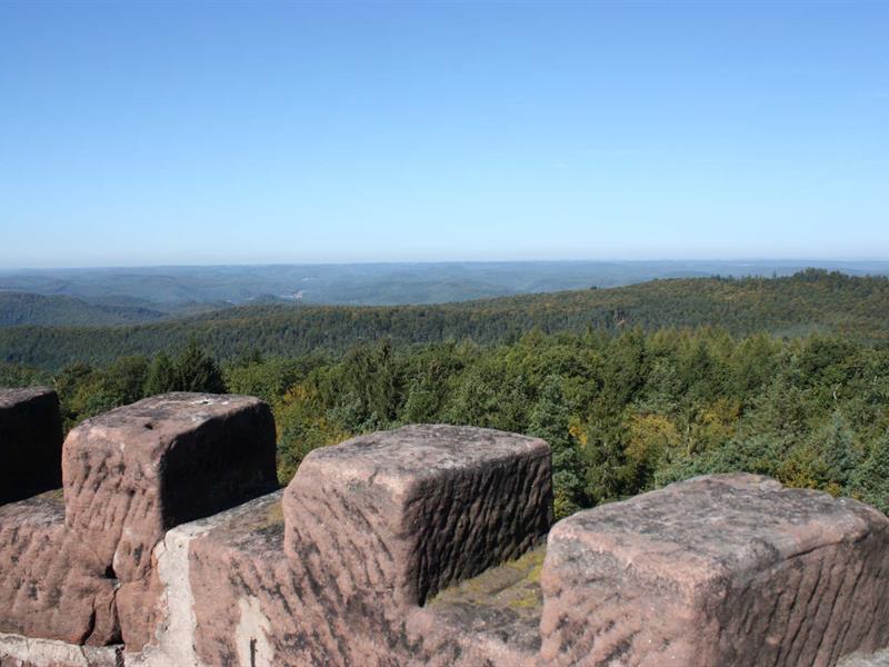 Randonnée au détour du Breitenwasen Niederbronn-les-Bains Grand Est