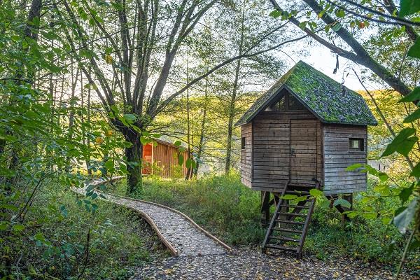 Circuit de randonnée de la piscine au plan d'eau Niederbronn-les-Bains Grand Est