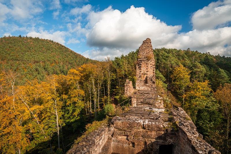 Circuit 1 Vallée du Steinbach Niedersteinbach Grand Est