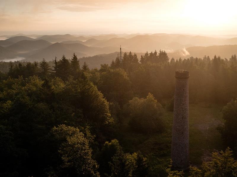 Randonnée du GR53 étape 2 de Obersteinbach à Niederbronn-les-Bains Niederbronn-les-Bains Grand Est