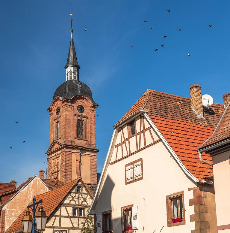 Circuit touristique et historique de Reichshoffen Reichshoffen Grand Est