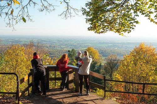 Circuit Lobsann-Soultzerkopf-Drachenbronn Lobsann Grand Est Circuit Lobsann-Soultzerkopf-Drachenbronn Lobsann Grand Est